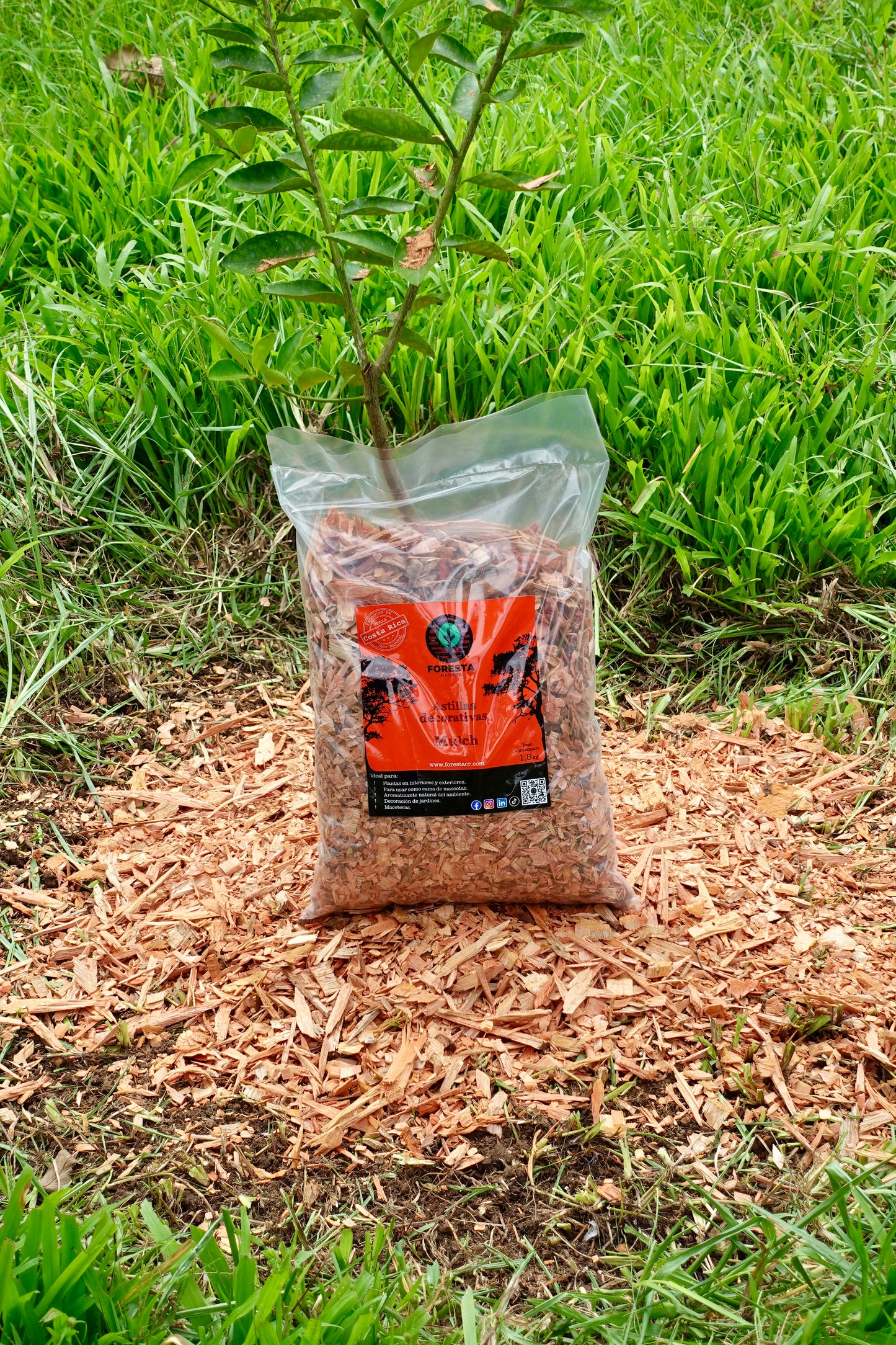 Mulch (Astillas Decorativas)