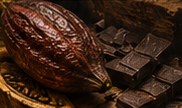 Cacao