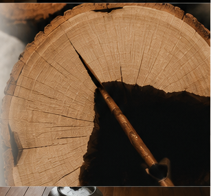 Proceso de transformación de madera en la finca de Foresta, Upala
